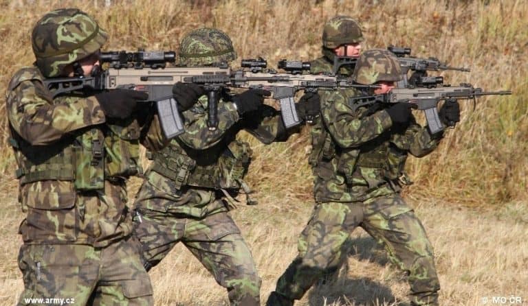 W Czechach powstaje projekt ustawy o organizacjach obronnych