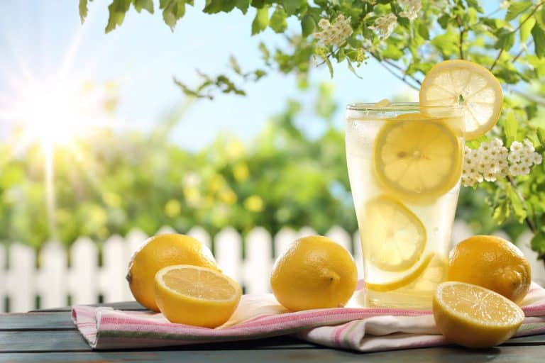 Anglia: 5 letnie dziecko ukarane mandatem za sprzedaż  domowej lemoniady