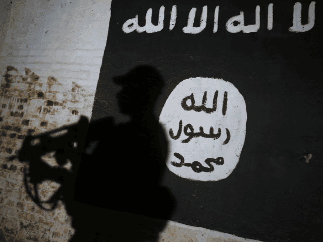 Do Polski usiłowała dostać się terrorystka