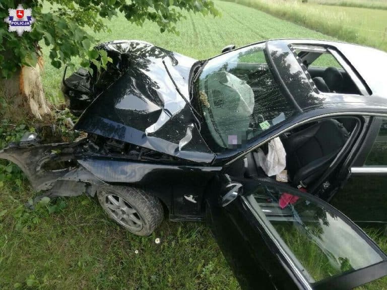 W Lubartowie murzyn rozbił BMW, bo na jezdnię wbiegła antylopa