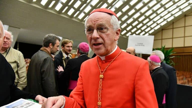 Totalny upadek – prymas Belgii chce ceremonii religijnej dla związków jednopłciowych