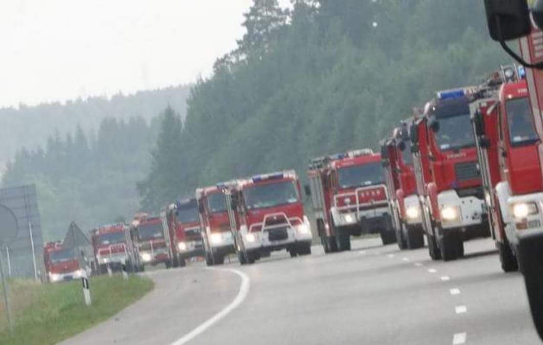 Polscy strażacy pospieszyli Szwedom z pomocą i pomagają gasić pożary lasów