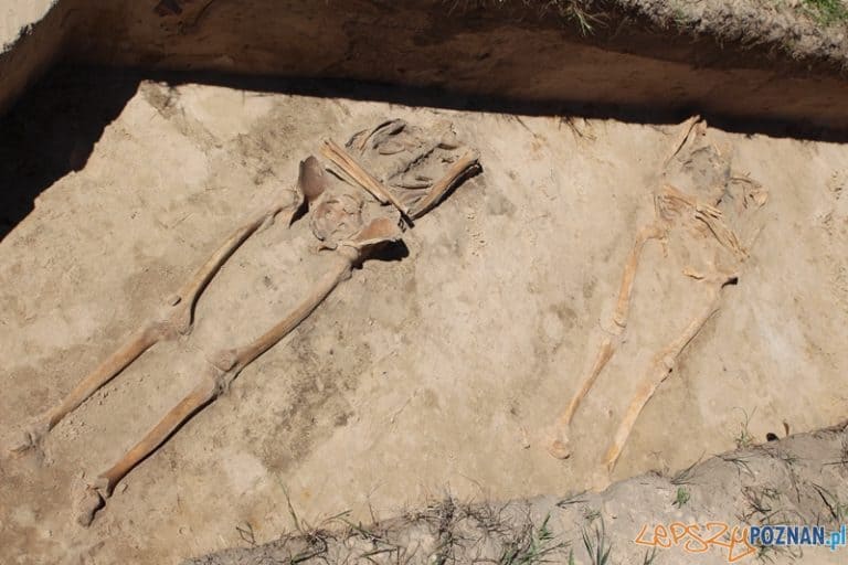 Archeolodzy odkryli w Wielkopolsce legendarną średniowieczną wieś