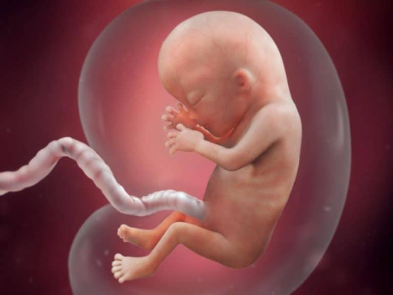 Brytyjscy bioetycy: Modyfikowanie DNA żyjących zarodków może być „moralnie dopuszczalne”