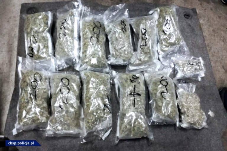 Czy Konfederacja jest za legalizacją marihuany?
