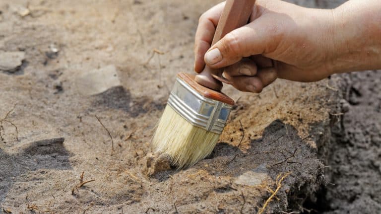 Na Dolnym Śląsku odkryto kolejne neolityczne kurhany