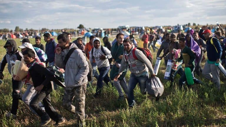 Migranci są szkoleni przez lewaków, jak dostać się na teren UE /film/