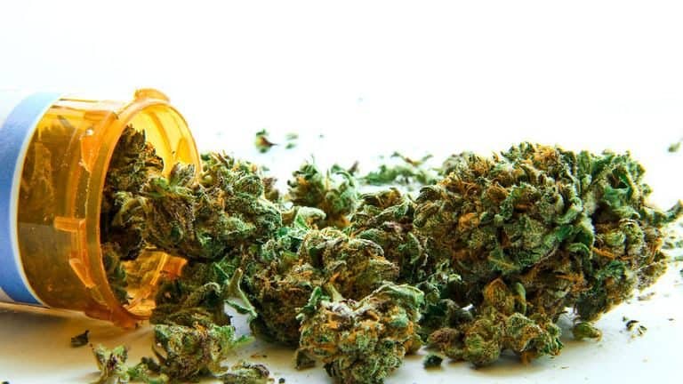 Medyczna marihuana za miesiąc ma się pojawić w polskich aptekach