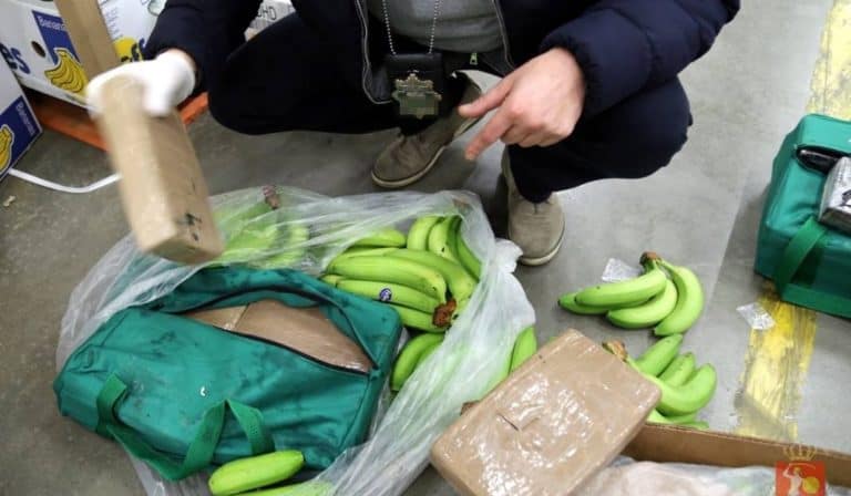 Odnaleziono narkotyki schowane w kartonach z bananami w jednej z popularnych sieci sklepów