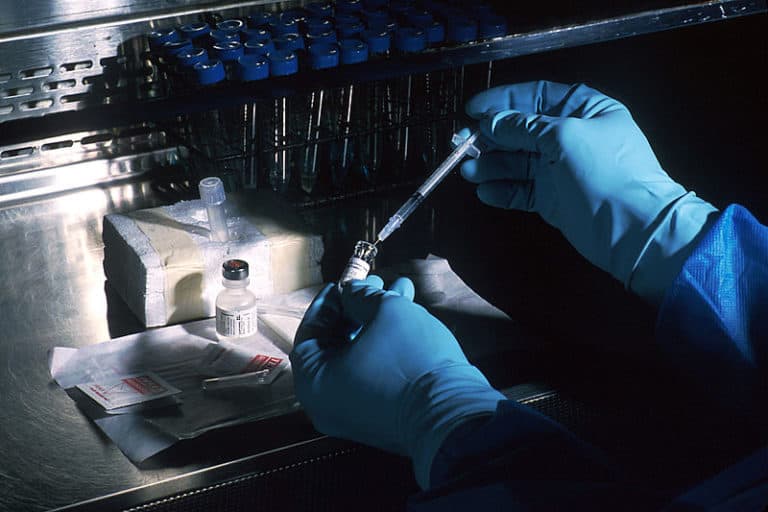 Wyrok dla chińskiego naukowca, który zmodyfikował DNA bliźniaczek na etapie zapłodnienia
