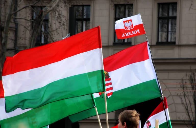 Polacy i Węgrzy wspólnie pomagają sierotom w Syrii