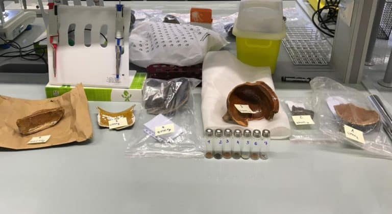 Dzięki analizie naczyń ceramicznych wiemy więcej o diecie Krzyżaków