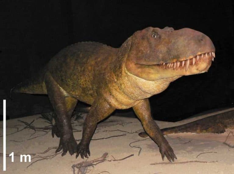Prehistoryczny smok wawelski z łatwością kruszył kości swoich ofiar