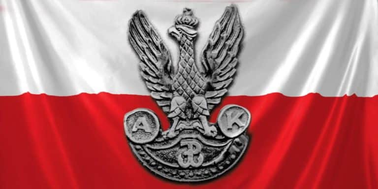 Armia Krajowa na Opolszczyźnie /część druga/