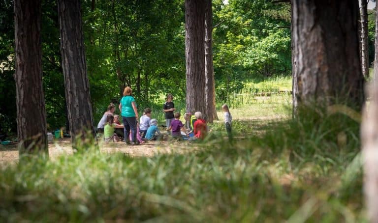 Dzieci dorastające wśród zieleni cieszą się lepszym zdrowiem psychicznym