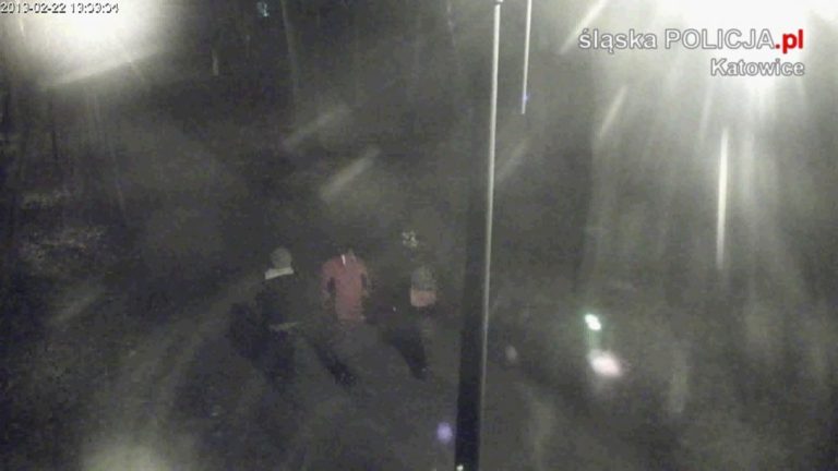 Katowicka policja publikuje nagranie i prosi o pomoc w ujęciu sprawców zniszczenia figur w Panewnikach