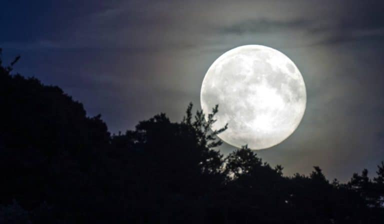NASA otwiera księżycową puszkę