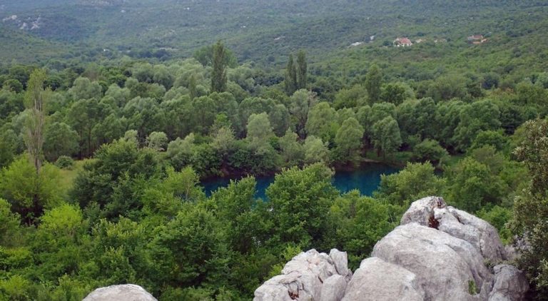 Naukowcy badają faunę Jeziora Szkoderskiego za pomocą molekularnych kodów kreskowych