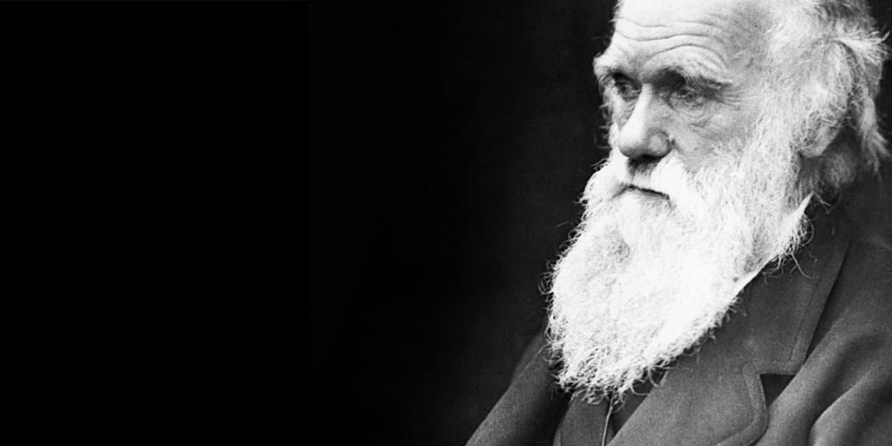 Coraz większa liczba naukowców poddaje w wątpliwość teorię Darwina