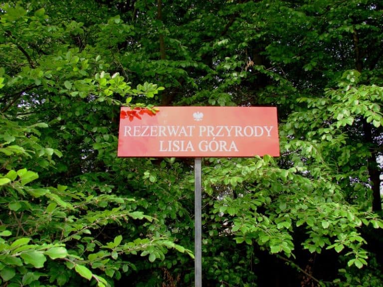 Rezerwat przyrody „Lisia Góra” pod opieką Uniwersytetu Rzeszowskiego