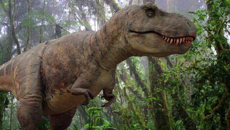 Naukowcy: na Ziemi żyło łącznie około 2,5 mld tyranozaurów