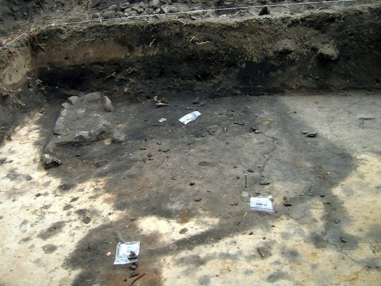 Archeolodzy: dieta nadmorskich łowców z Zatoki Puckiej nie składała się tylko z ryb i fok