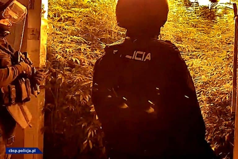 Bezwzględny „Gang Braciaków” rozbity przez CBŚP we współpracy ze służbami z Hiszpanii, Danii i Holandii