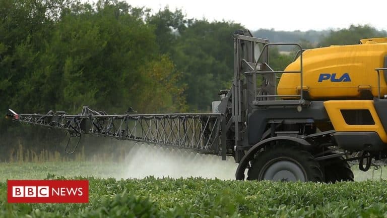 Niemiecki Bayer przegrał proces z małżeństwem, które z powodu środka chwastobójczego zachorowało na raka