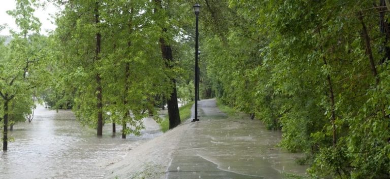 Na Górnym i Dolnym Śląsku wezbrały rzeki i potoki. Stany alarmowe przekroczone w wielu miejscach