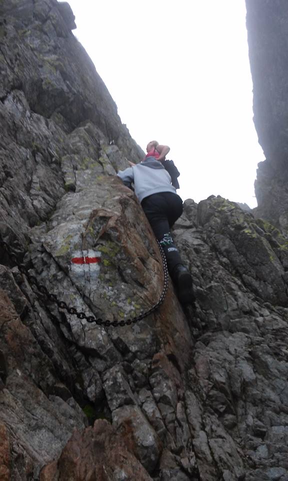 Tatry opanowały… małpki – to prawdziwa plaga na górskich szlakach