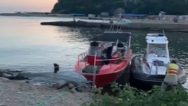 Kapitan turystycznego statku, który wczoraj przewrócił się na Morzu Czarnym, został zatrzymany