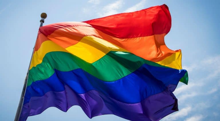 Policja udaremniła próbę prowokacji środowisk LGBT chcących zakłócić patriotyczny pochód