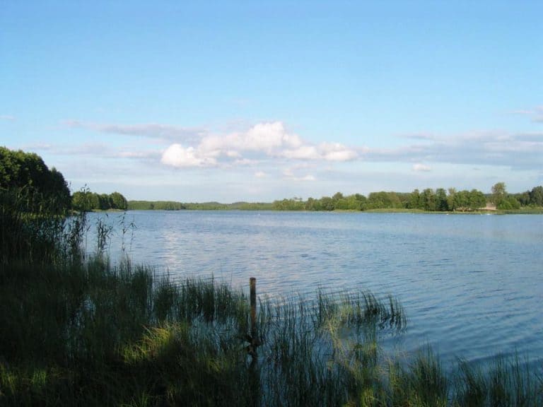 Jeziorom brakuje wapnia