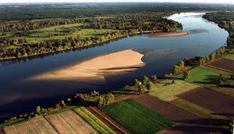 Ruszają prace związane m.in. z odtworzeniem szlaków wędrówek ryb w Wiśle