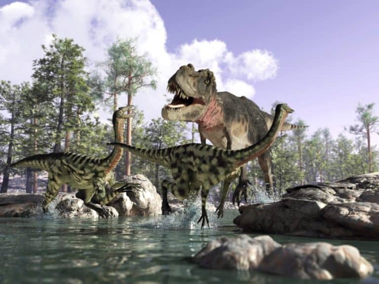 Gdy dinozaury wymierały, lasy miały się świetnie