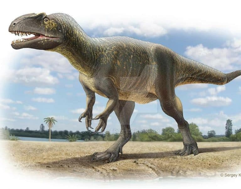 W Chile znaleziono szczątki jednego z najstarszych dinozaurów z jury