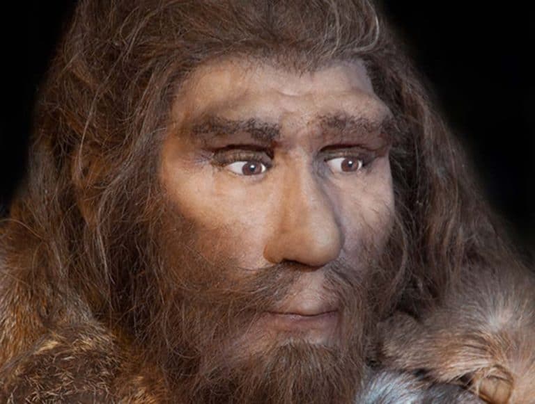 Neandertalczycy wyginęli wskutek czynników demograficznych?