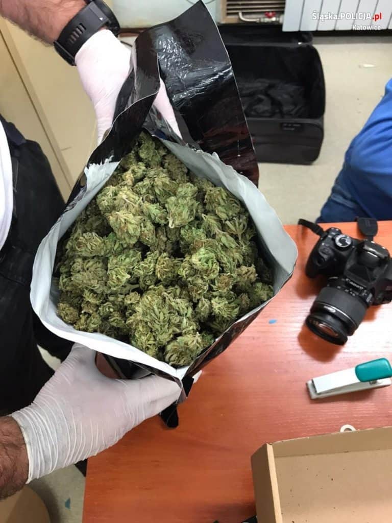 Chciał wwieźć z Czech 4 kg marihuany, ale policyjny pies nie dał się przechytrzyć
