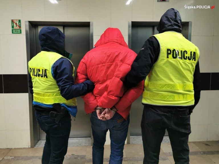 Mocne uderzenie śląskiej policji w mafię śmieciową