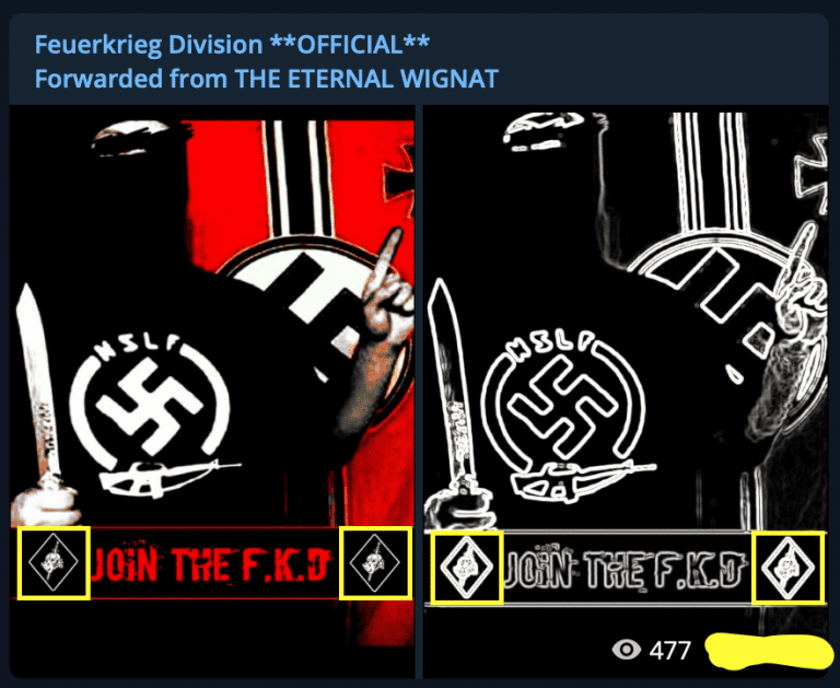 Estońskie służby zatrzymały lidera neonazistów, który… ma 13 lat…