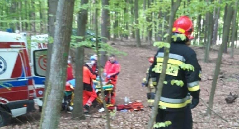 Nieszczęśliwy wypadek podczas kradzieży drewna