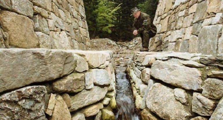 Historyczne zbiorniki w Nadleśnictwie Międzylesie zgromadzą wodę