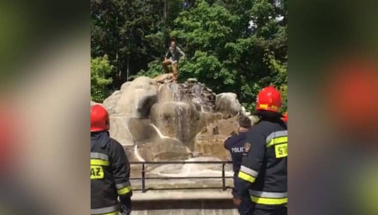 W warszawskim zoo młody mężczyzna wskoczył do wybiegu dla niedźwiedzi