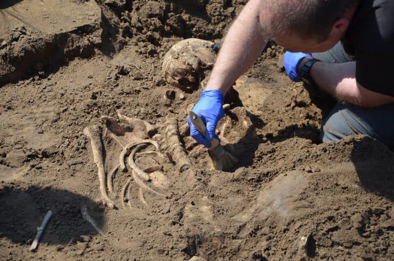 Szczątki trzech osób odnalazł  IPN pod Hrubieszowem; mogą to być ofiary UPA