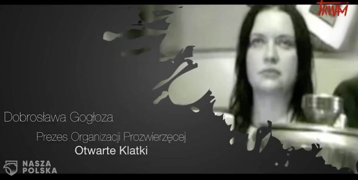 Dziwne powiązania biznesowe „Otwartych Klatek”