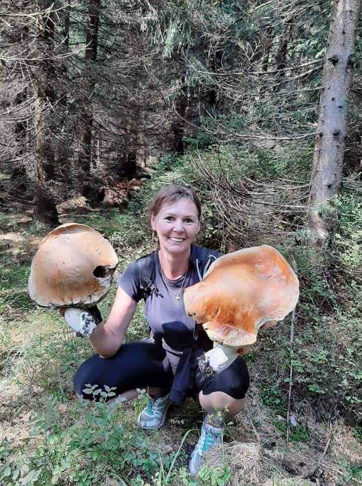 Takie wielkie prawdziwki można znaleźć w Polsce
