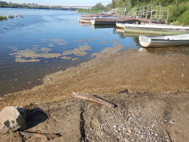 Obrzydliwe: Tak wygląda Wisła przez rządzących w Warszawie nieudaczników