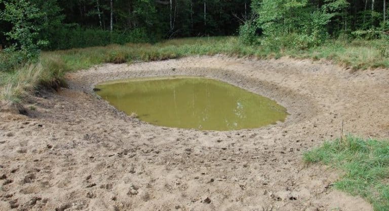 Troszczą się o sady i oczka wodna, by żubrom było lepiej