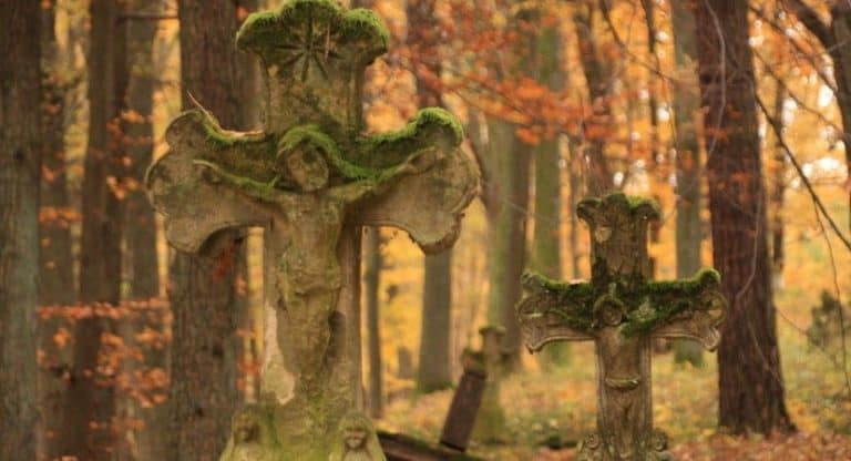 Leśnicy dbają o zapomniane nagrobki i cmentarze rozsiane po lasach