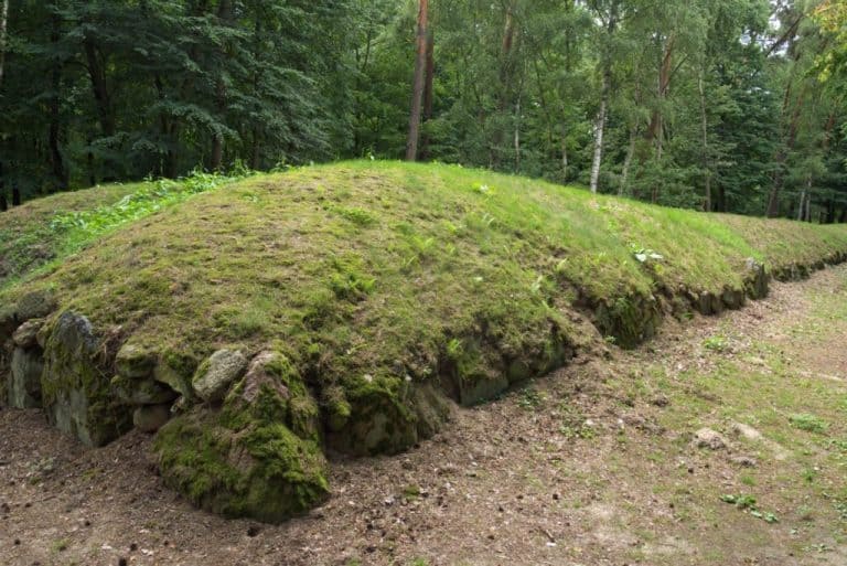 Grobowce z epoki kamienia na wystawie w Muzeum Archeologicznym